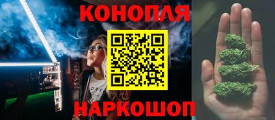 jwh Камышлов