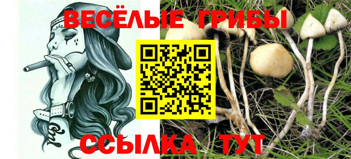 Мефедрон Лесозаводск